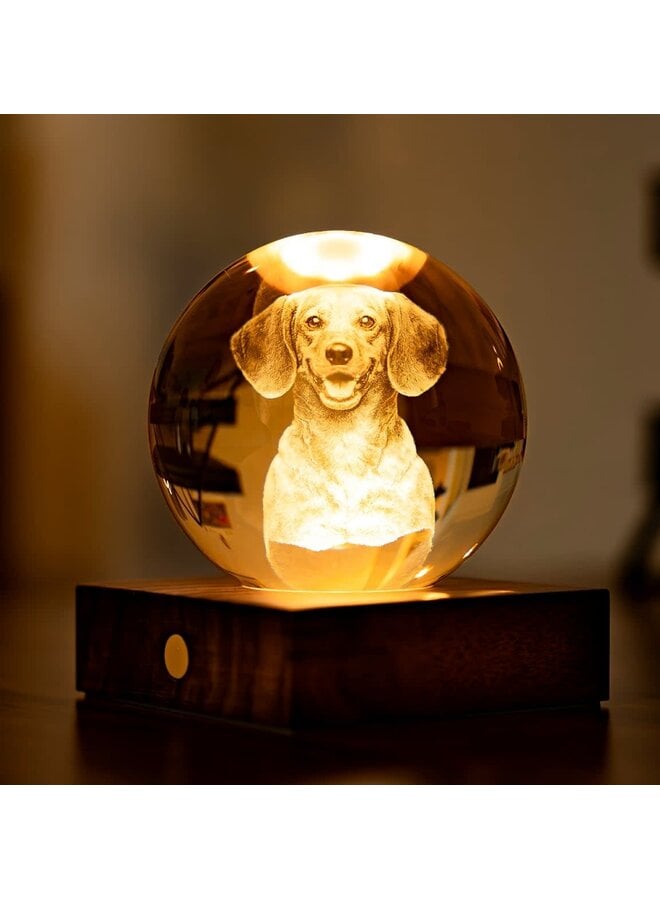 Dachshund Amber Crystal Light