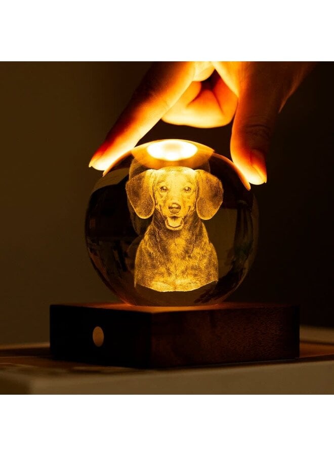 Dachshund Amber Crystal Light