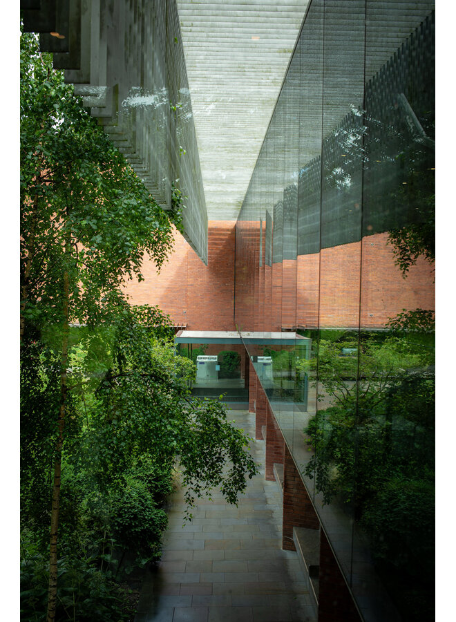 Copy of Slow Morning Light