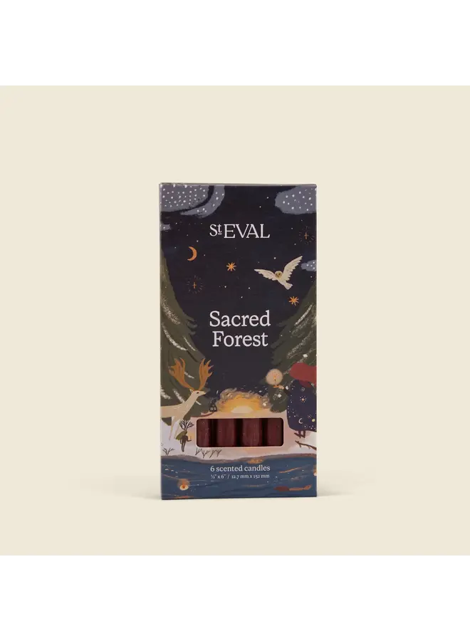 Christmas Sacred Forest Box of 6 Mini Candle 013
