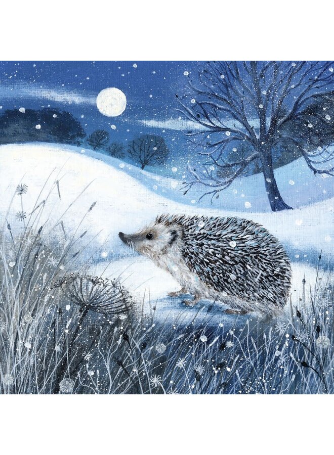 Hedgehog and Moon Christmas Charity Cards Pack 8