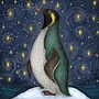 Penguin and Stars 5 Christmas Cards pack