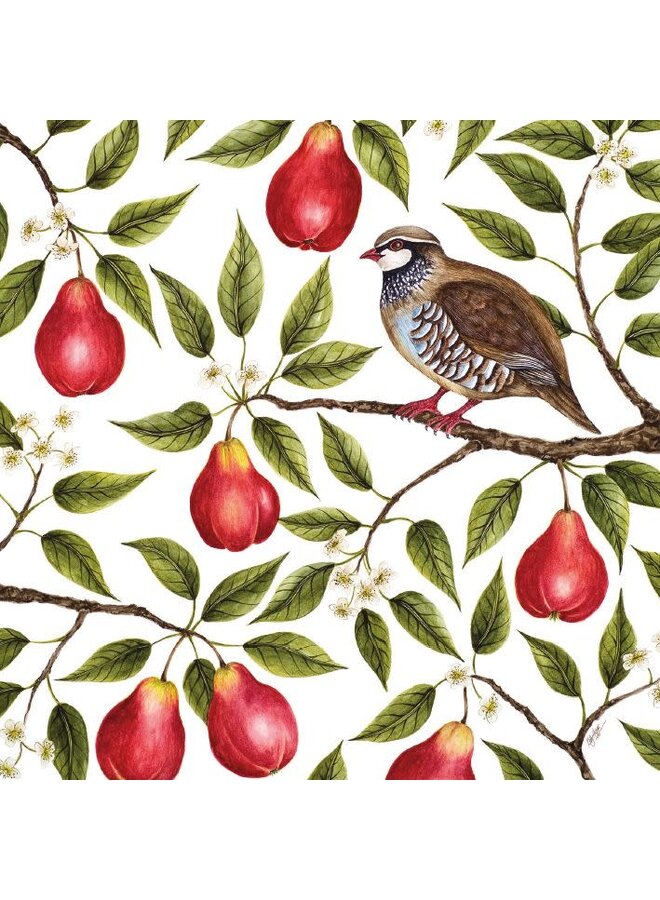 Partridge in a Pear Tree  5  Christmas Cards Pack