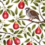Partridge in a Pear Tree  5  Christmas Cards Pack