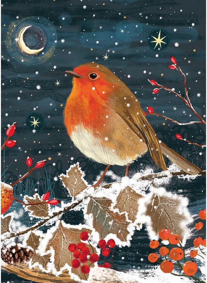 A Winter's Night Robin Christmas Charity Cards Pack of 8