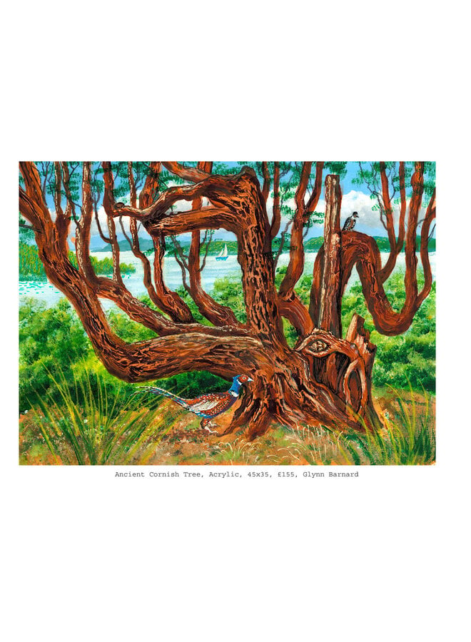 Ancient Cornish Tree