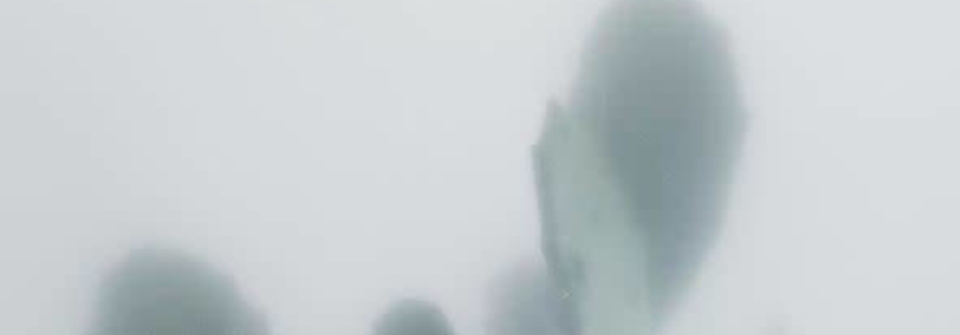 Botanic postcard - cactus