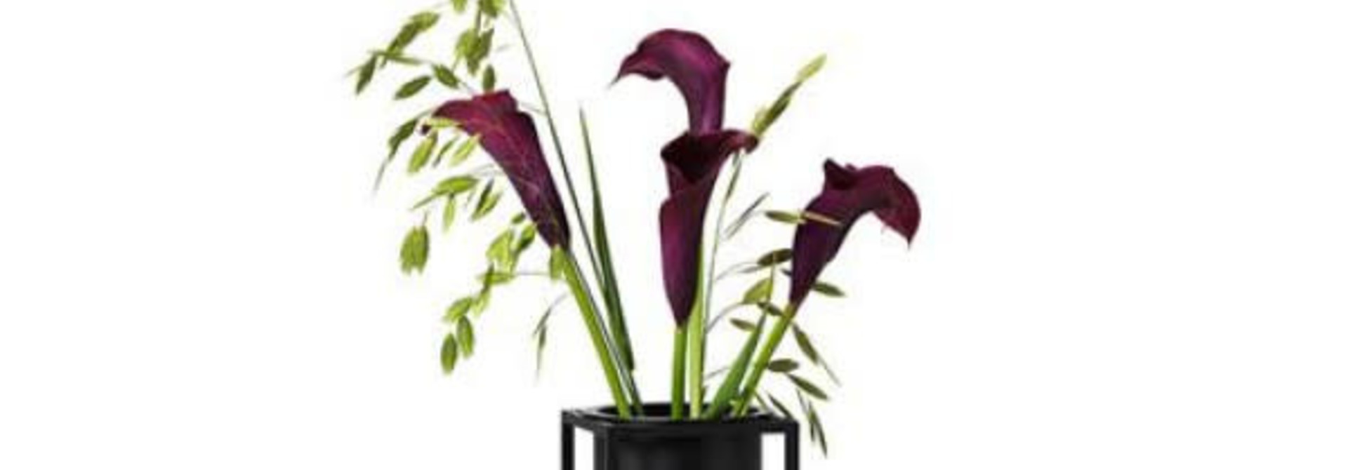 Kubus Vase Lily