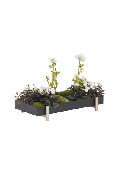 Botanic Tray