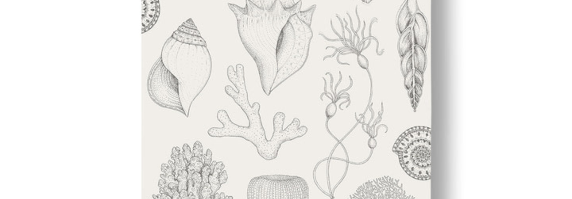 Shells Wallpaper Off-White