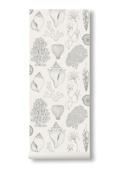 Shells Wallpaper Off-White
