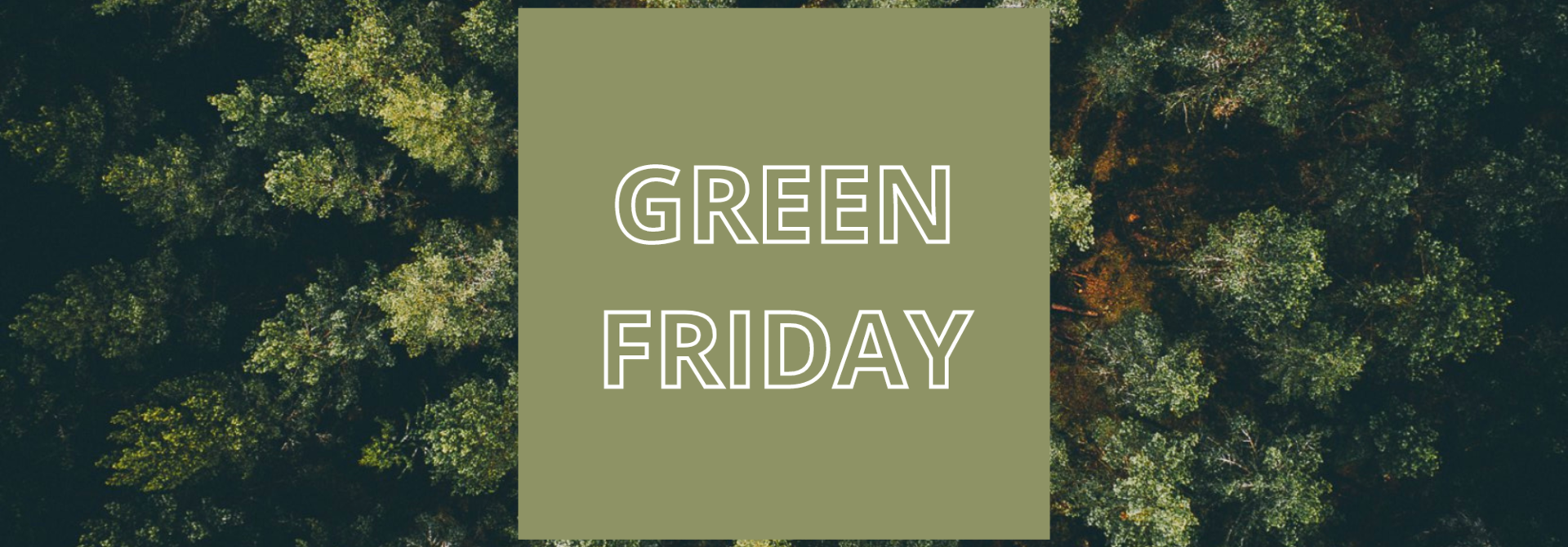 Scandinavian Sustainability | Green Friday 