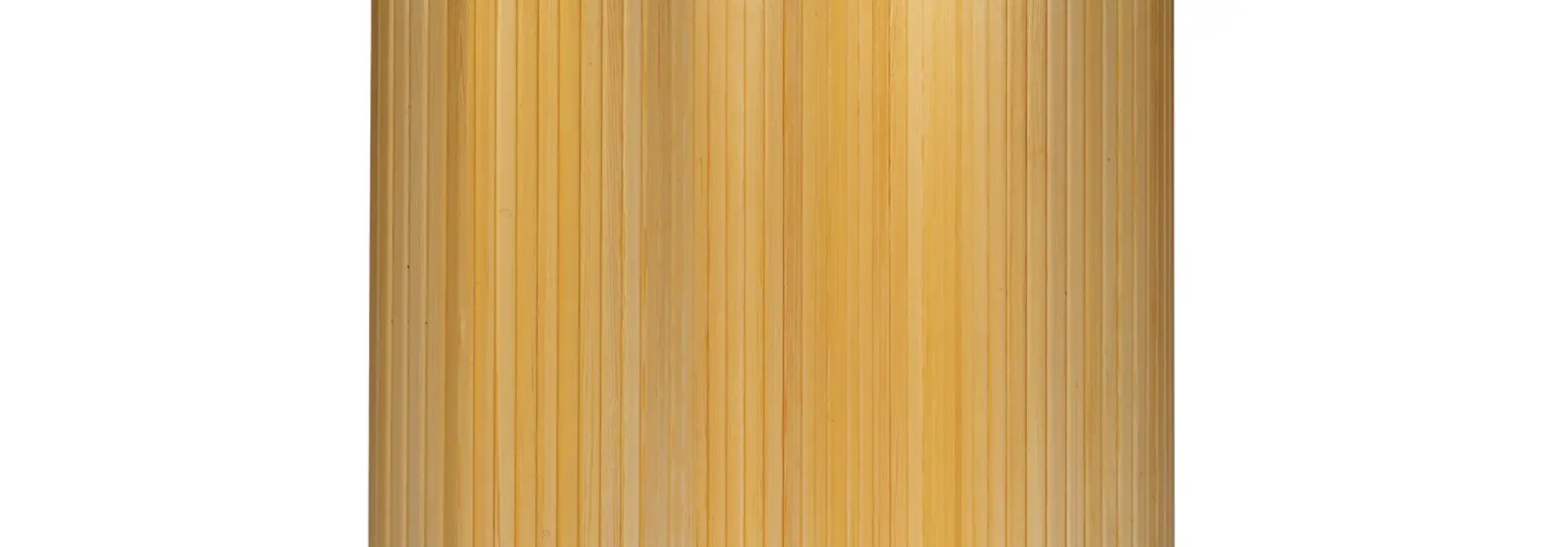 Screen 100C