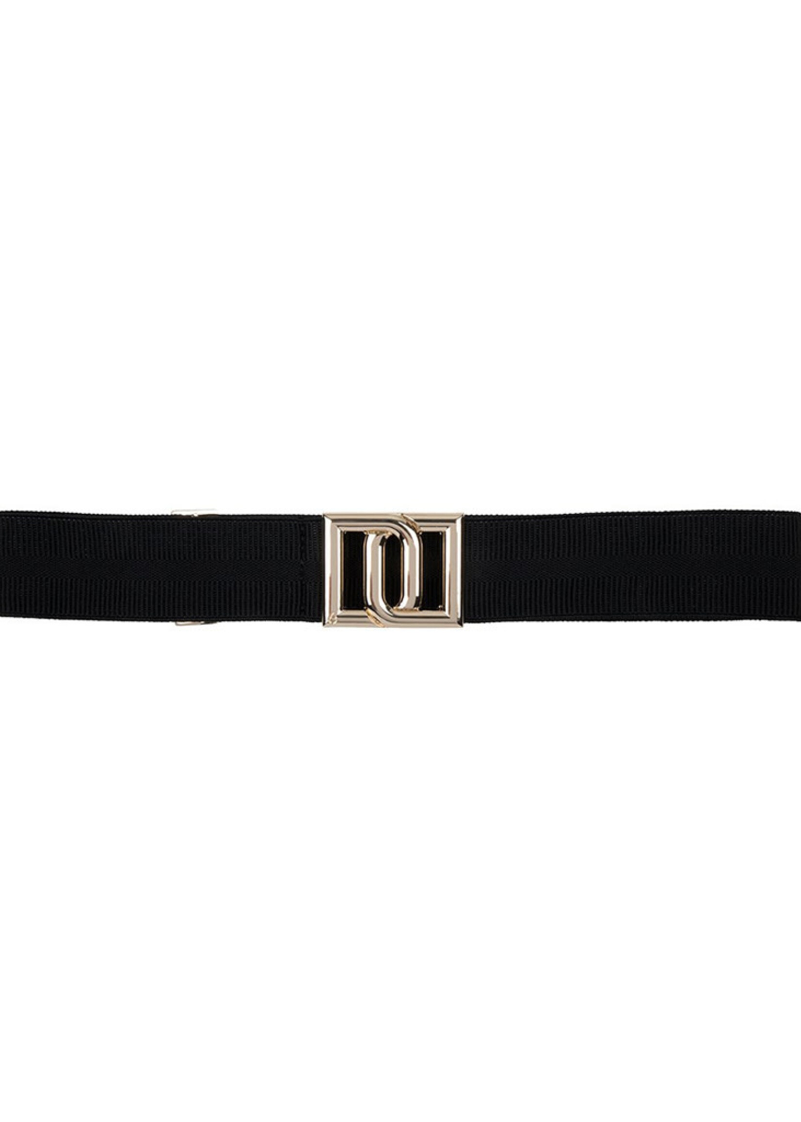 dante6 Monogram Belt