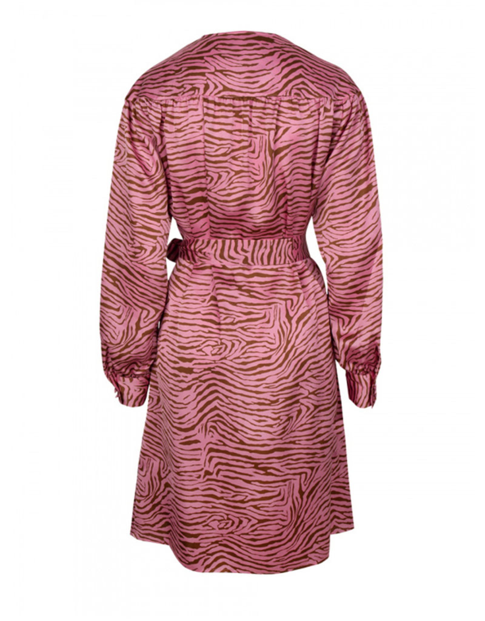 dante6 Roisin Print Dress