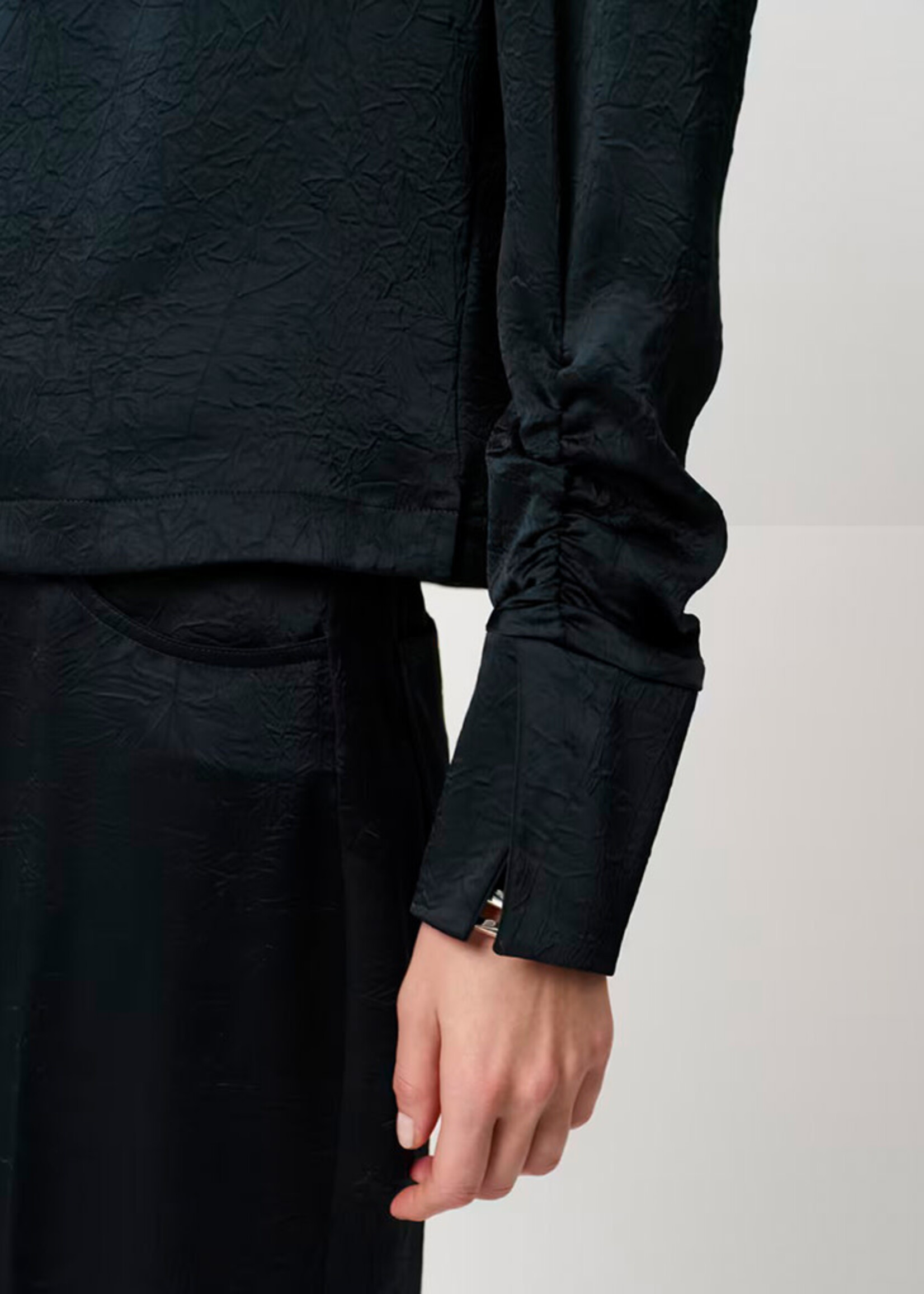 dante6 Pristine Turtle Top