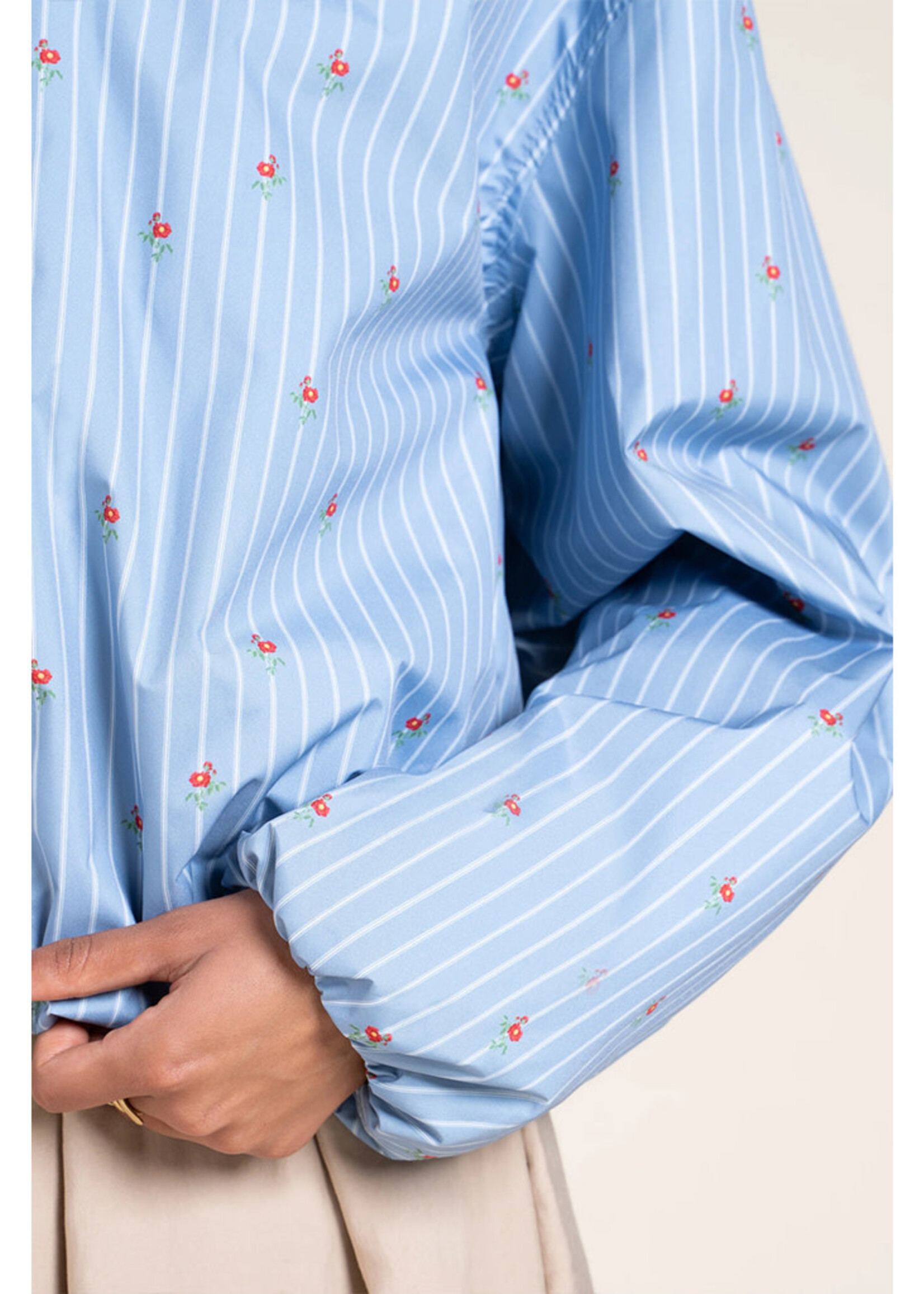 Flotte Darius - Oxford Blue