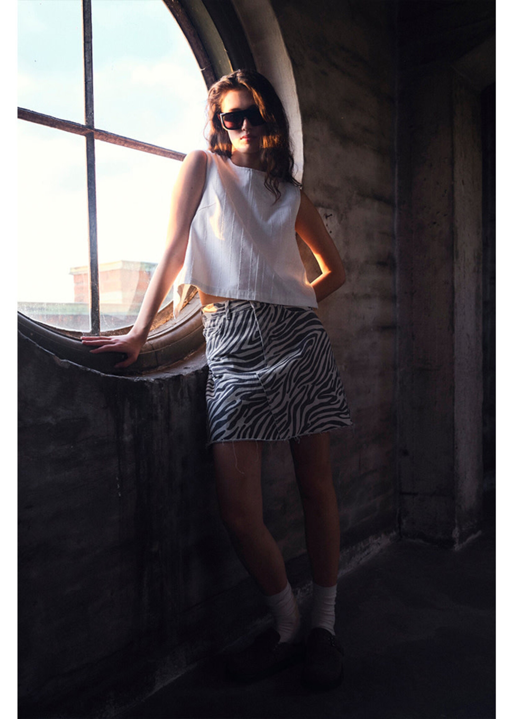 Ivy Angie Skirt Faded Zebra