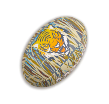 Tiger Fun Design Squad Trainer Rugbyball – für Kinder und Erwachsene – Trainings-Rugbyball in Vereinsqualität – 3D-Griff – tolles Geschenk