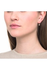 Wouters & Hendrix HOOP EARRINGS WITH A SERIES OF HOOPS