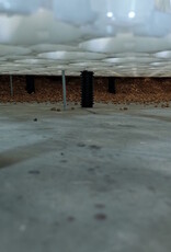 Frame screws 100 mm for wood and concrete