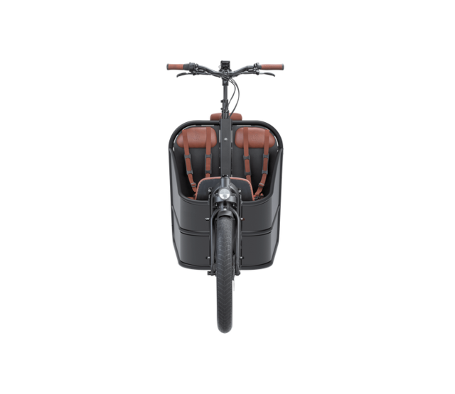 Twin Cruiser Dutch Delight Twin Cruiser Dutch Delight