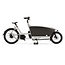 Urban Arrow Family Anniversary Cargo Line