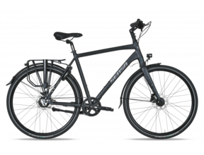 Cintura Limited - Gent