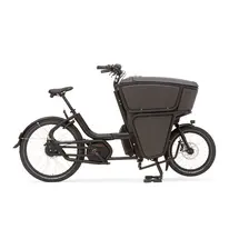 Shorty Performance Essential 2023
