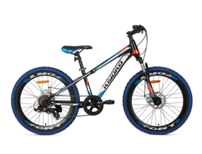 Kiyoko Mountainbike