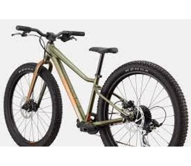 Kids Trail Plus 24"