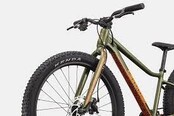 Kids Trail Plus 24"