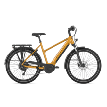 Medeo T10 - Hoge instap 2024