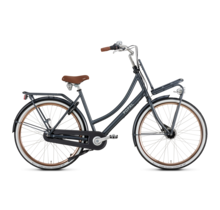 Daily Dutch Prestige  ND7