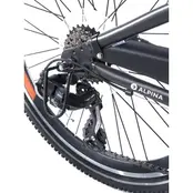 Trial Sport Trial Sport