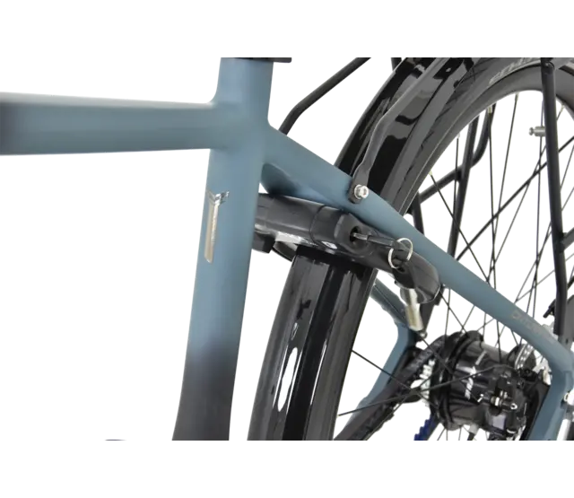 Cintura Power Premium 2025 - Gent