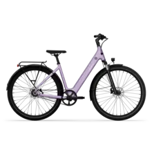 CGO800S - Lavendel LTD