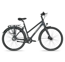 Cintura Limited - Ladies