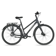 Cintura Limited - Ladies