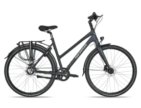 Cintura Limited - Ladies