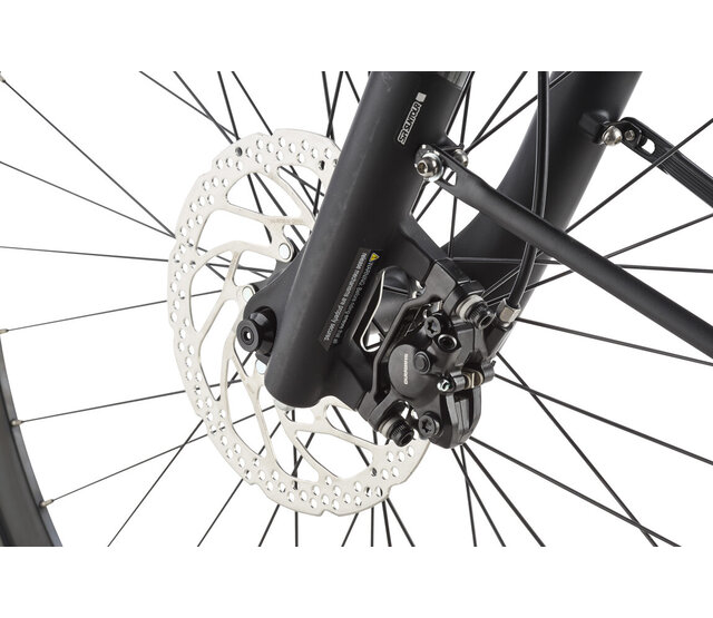 RAVENNA EVO NV Belt Performance 2025