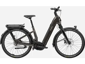 Mavaro 2 Low Step 2025