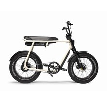 FLXS 2024