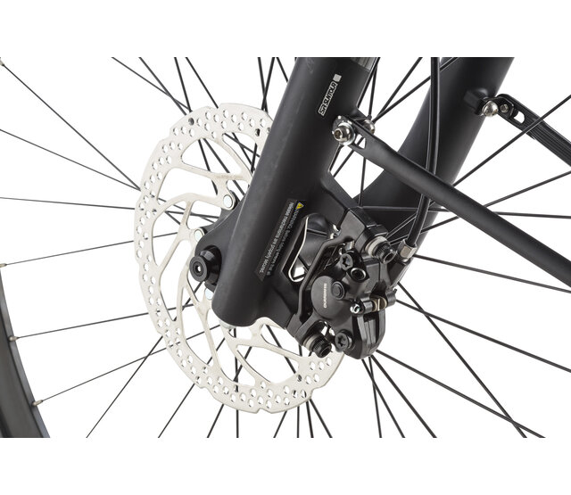 Ravenna EVO 7F Belt NL 2025 - Lage instap