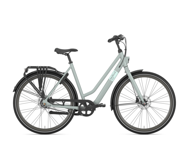 Esprit Belt - Lage instap