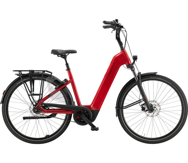 Ravenna EVO 7F Belt 2026 LTD