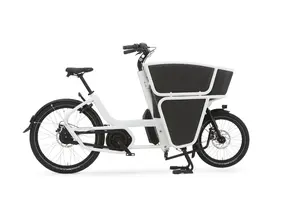 Shorty Performance Essential 2023