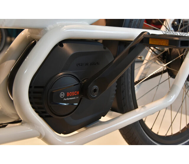 Family Performance Plus belt