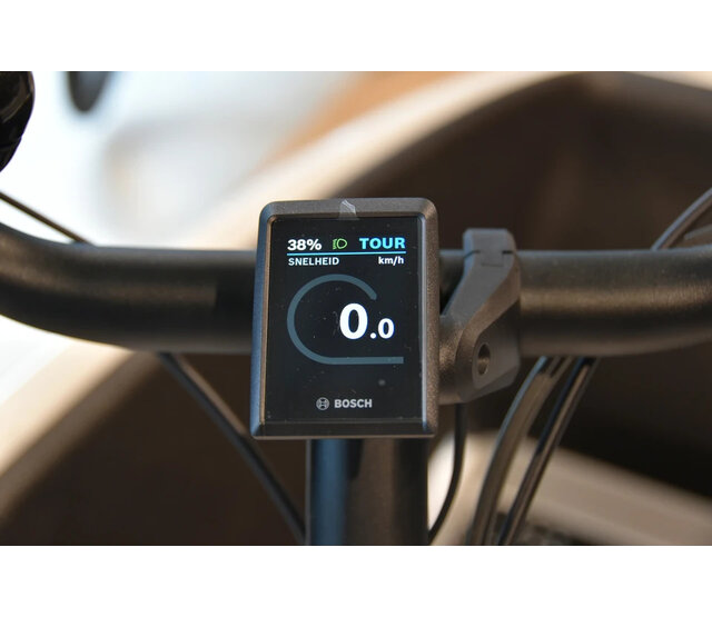 Family Performance Plus belt