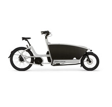 Family Performance Plus belt